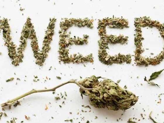 Marijuana Pros And Cons: Rilean Lambert