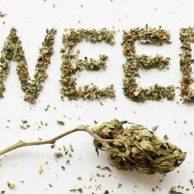Marijuana Pros And Cons: Rilean Lambert